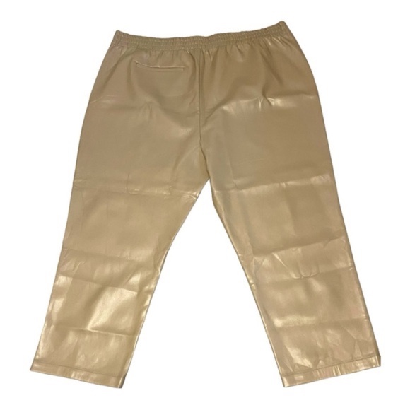 Smash + Tess Murphy Vegan Leather Pants in Taupe Plus Size 4XL Statement Pants - Picture 4 of 5